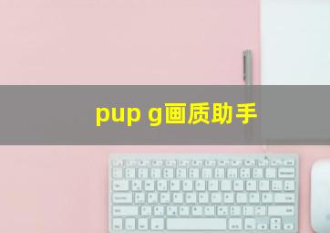 pup g画质助手